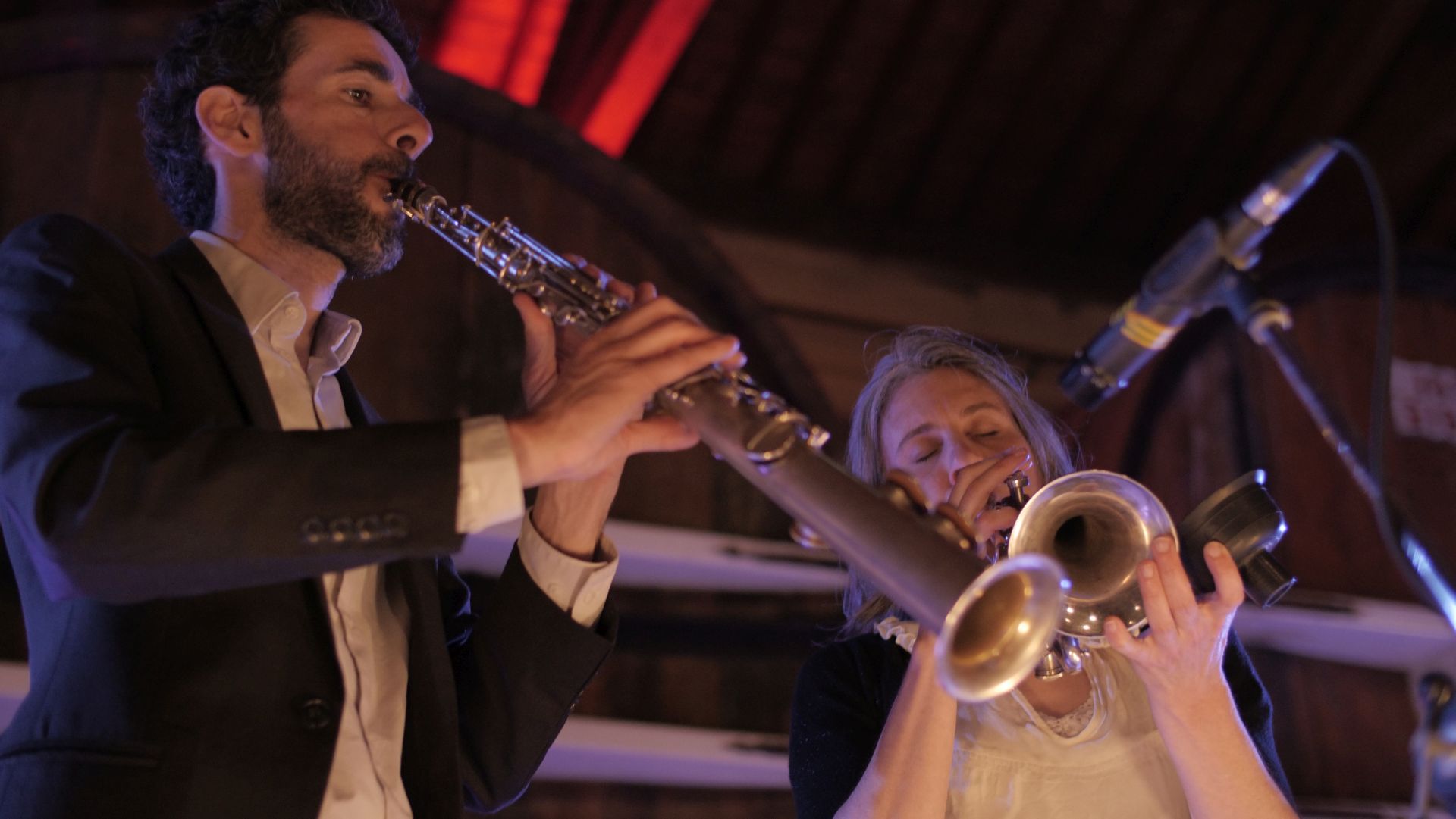 Dixieland Orchestra - pic 2